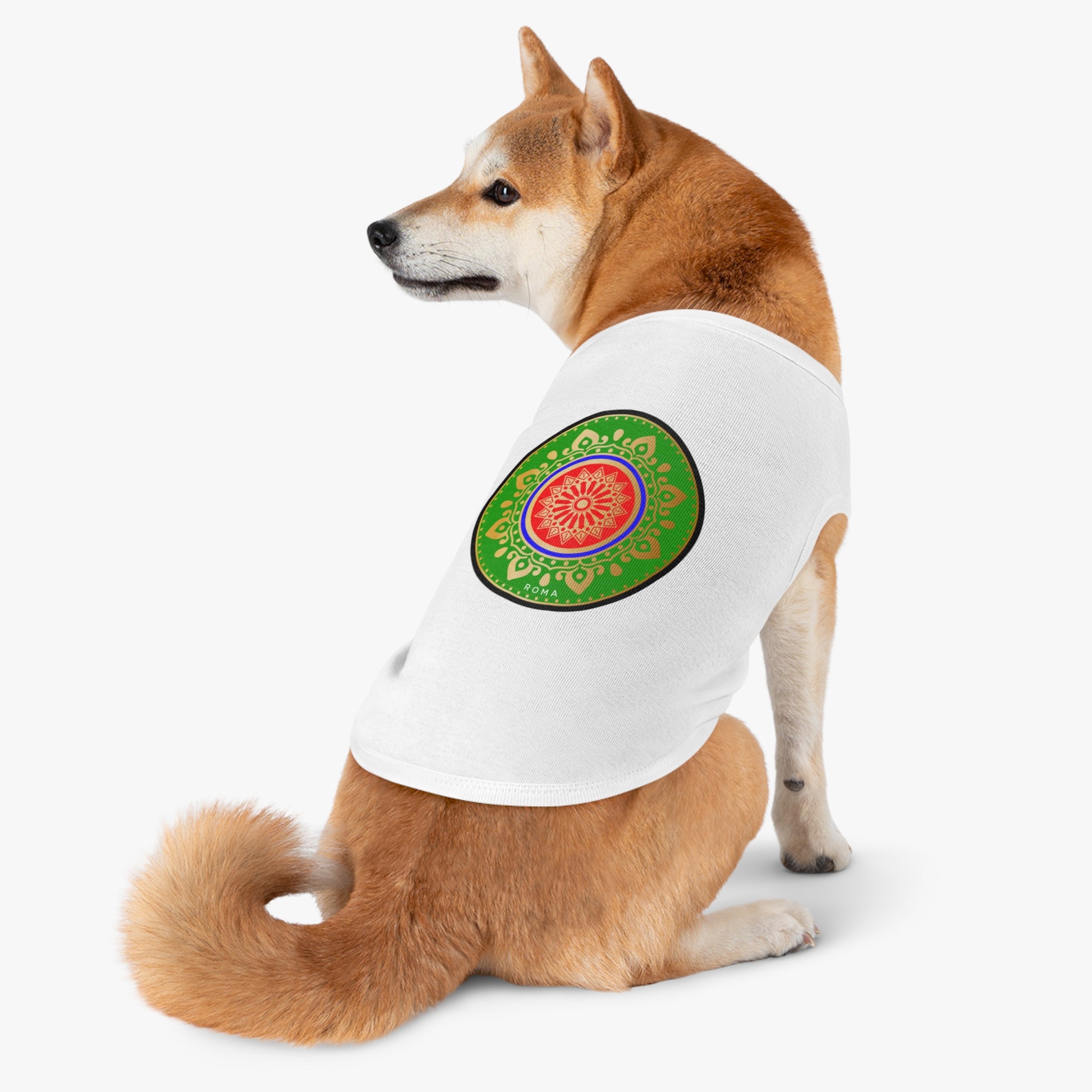 Dog in Szukar Roma apparel posing with street-style confidence.