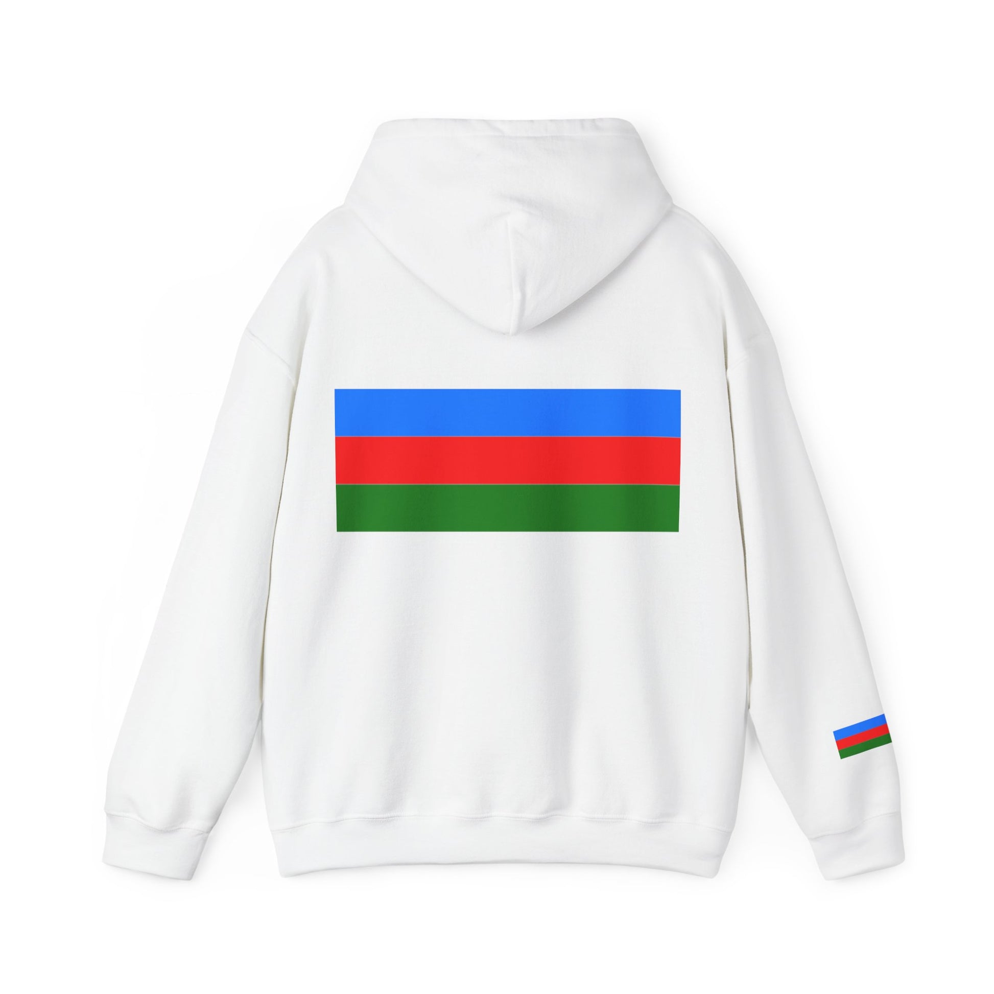 Classic fit hoodie with Roma flag colors integrated into a sleek, minimalist design.

