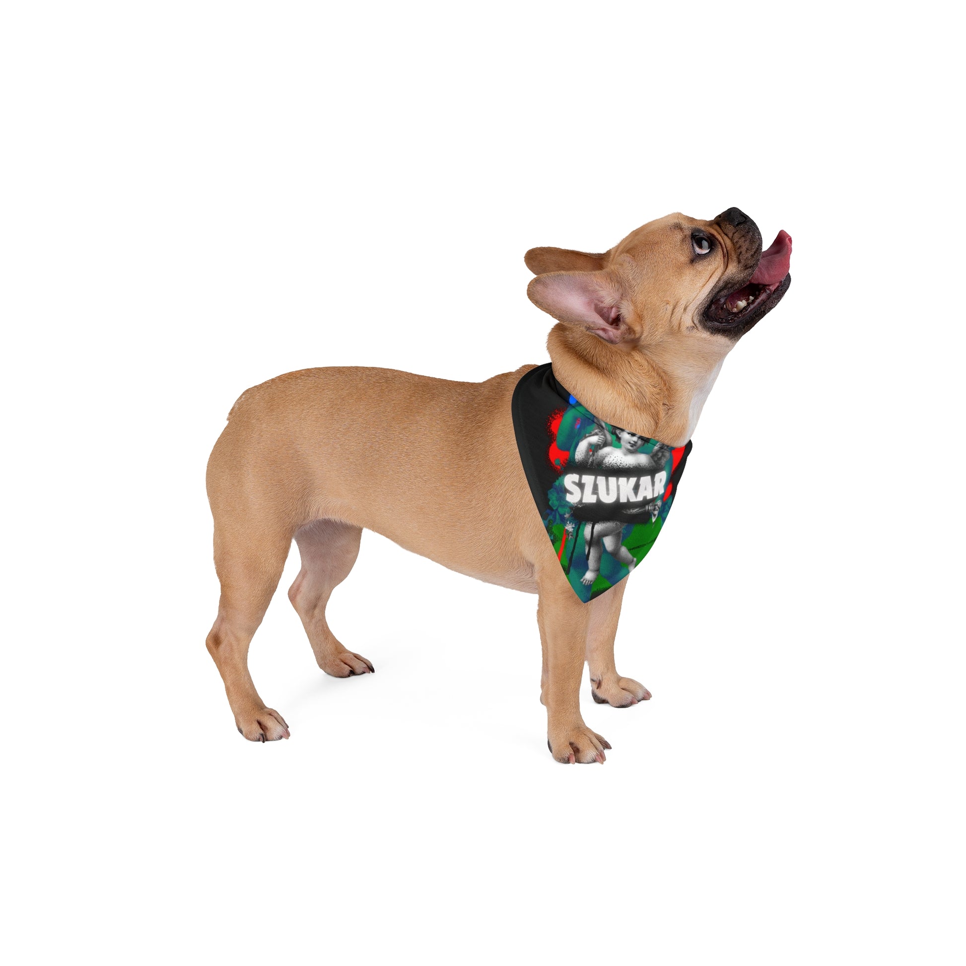 Dog bandana with SZUKAR print and angel artwork over Roma flag-colored background