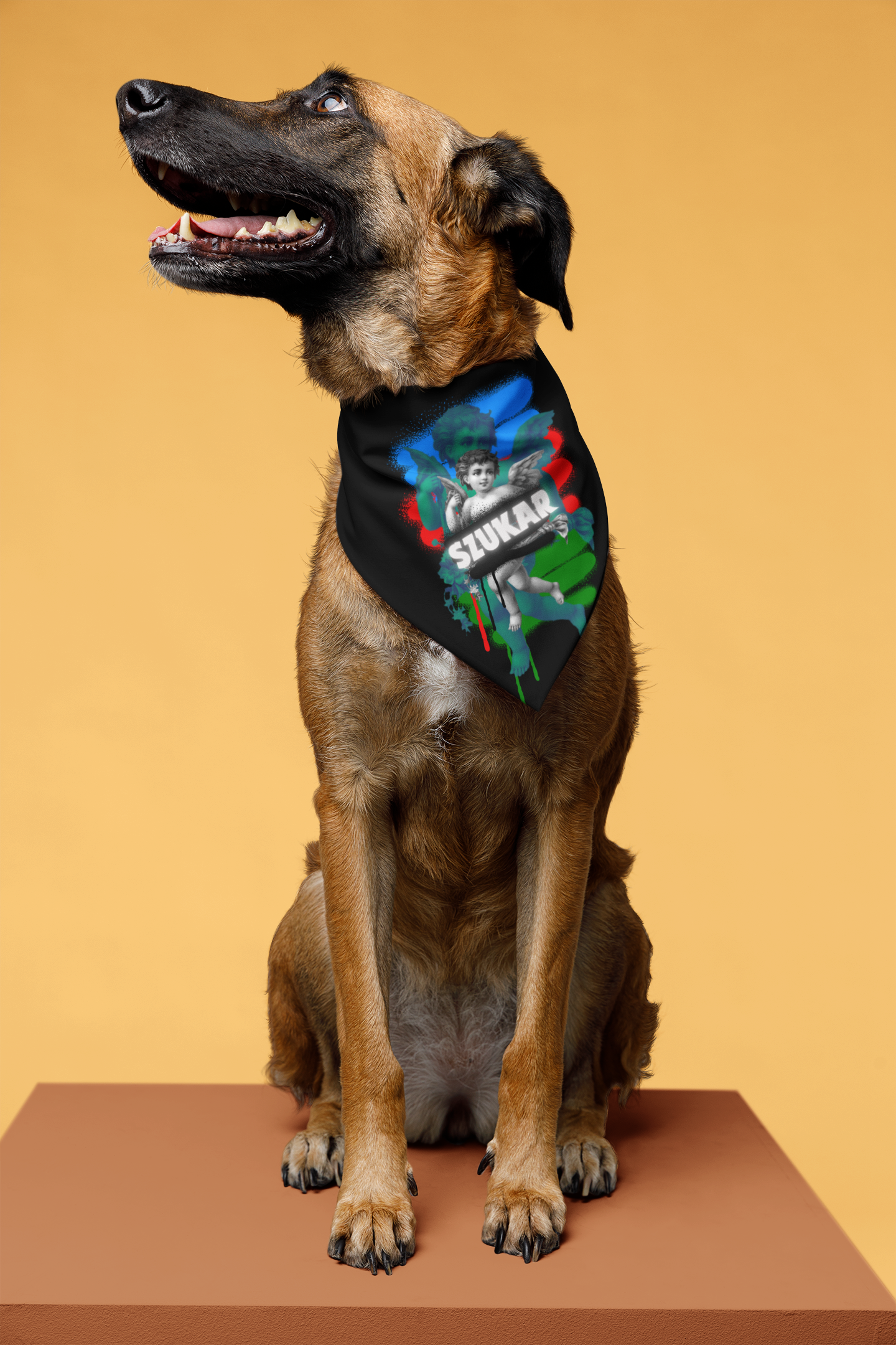 bandana-mockup-featuring-an-adorable-dog-sitting-in-a-studio-